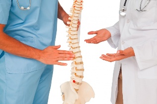 Doctors and model of the spine